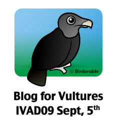 Today is International Vulture