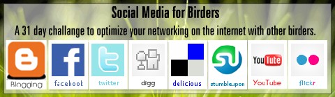 Social Media for birders