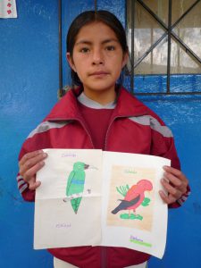 Adriana with Blue-bande Toucanet and Cock of the Rock