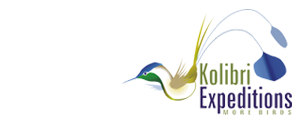 Kolibri Expeditions - Peru Birding Tours and Birdwatching Holidays Worldwide