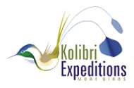 Kolibri Expeditions - Peru Birding Tours and Birdwatching Holidays Worldwide